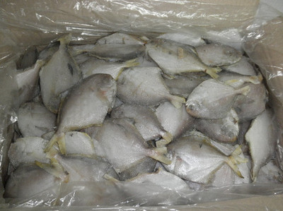 黑龍江水產(chǎn)品批發(fā)與加盟指南 聚焦哈爾濱暢達水產(chǎn)的產(chǎn)業(yè)優(yōu)勢