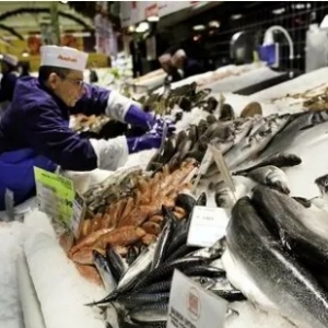 全國主要水產(chǎn)品批發(fā)市場報價動態(tài)與日用百貨銷售渠道淺析